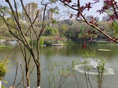-重庆彩云湖湿地公园