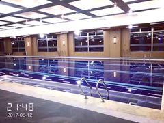 泳池-梧桐阳光国际游泳健身会所(亚运村店)