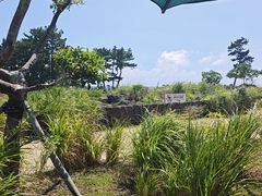 -柱状节理带