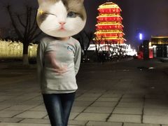 -西安汉城湖景区