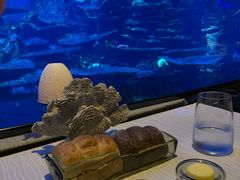 -迪拜帆船酒店海底餐厅