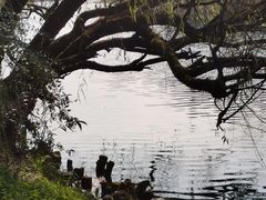-贵阳市花溪国家城市湿地公园