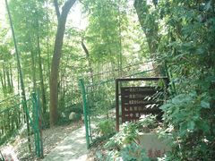 -上海佘山国家森林公园西佘山园