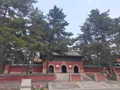 -磬锤峰森林公园