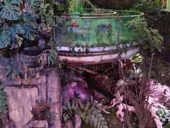 -正佳雨林生态植物园
