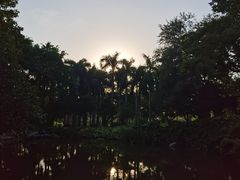 -云溪植物园