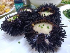 -板桥海鲜广场(文明东店)