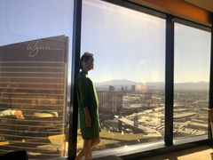 -拉斯维加斯永利酒店