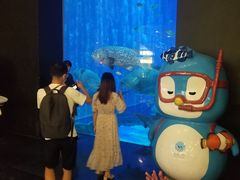 -成都浩海立方海洋公园