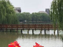 -华东政法大学(松江校区)