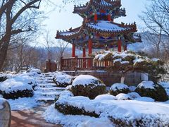-大连植物园