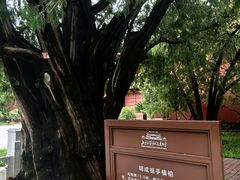 -北京市劳动人民文化宫(太庙)