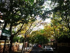 -八大关景区
