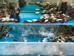 -旺顺阁鱼头泡饼(小红门店)