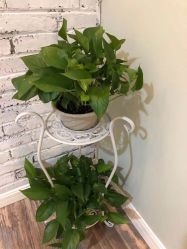 -翡艺写真馆·薇漫