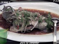 蒸石斑-和平馆·地道港澳茶餐厅(西门口店)