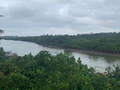 -东寨港红树林旅游区