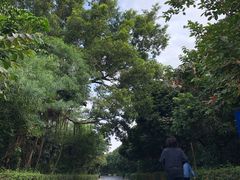 -月亮湾公园