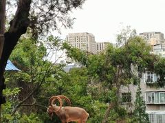 -昆明动物园