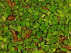 -金佬馆·川菜(芜湖繁昌华亿店)