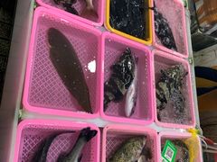 -南沙十九涌渔人码头-南门