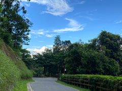 -阳台山森林公园
