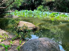-燕晗山郊野公园