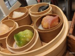避风塘虾饺五小宝-避风塘(江桥万达店)