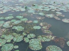 -南北湖风景区