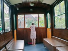 -合肥滨湖国家森林公园