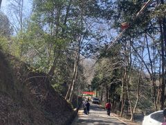 -午潮山国家森林公园