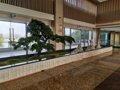 -上海佘山世茂艾美酒店
