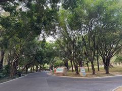 -南宁南湖公园