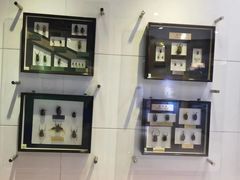 -上海昆虫博物馆