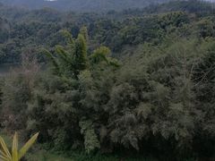 -雅安楠水阁温泉酒店