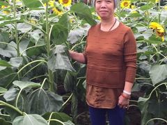 -广州花之恋城堡酒店