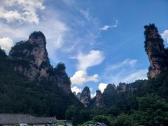 -印象鲵宴·张家界地标美食名片(溪布街店)