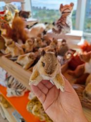 -IMON·HANSA潮玩玩偶毛绒玩具(通州万象汇店)