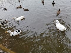 -团结湖公园