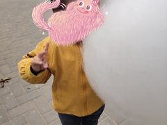 -大兴滨河森林公园