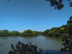 -大湾区中央湿地公园