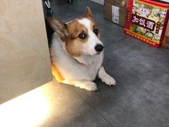 -老四川平头酸菜鱼(衙前店)