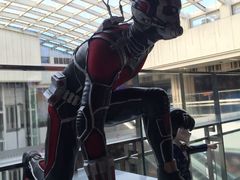 -北京英嘉国际影城(金源CINITY店)
