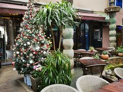 -Golden Lily河内巴黎法越料理餐厅(建国西路店)