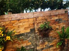 -石头咕(葵蓬店)