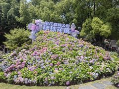 -上海滨江森林公园