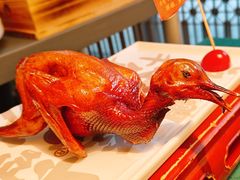 红烧乳鸽-大鸽饭(汉溪长隆店)