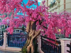 -海底捞火锅(海悦天地店)