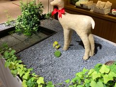 -王记姚家味·地道苏帮菜(凤凰街店)