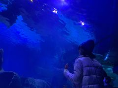 -石家庄海洋公园